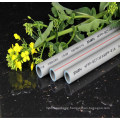 Rehome PPR Pipe Polypropylene Pipe Pn20 Green PPR Plastic Pipe for Drink Water System